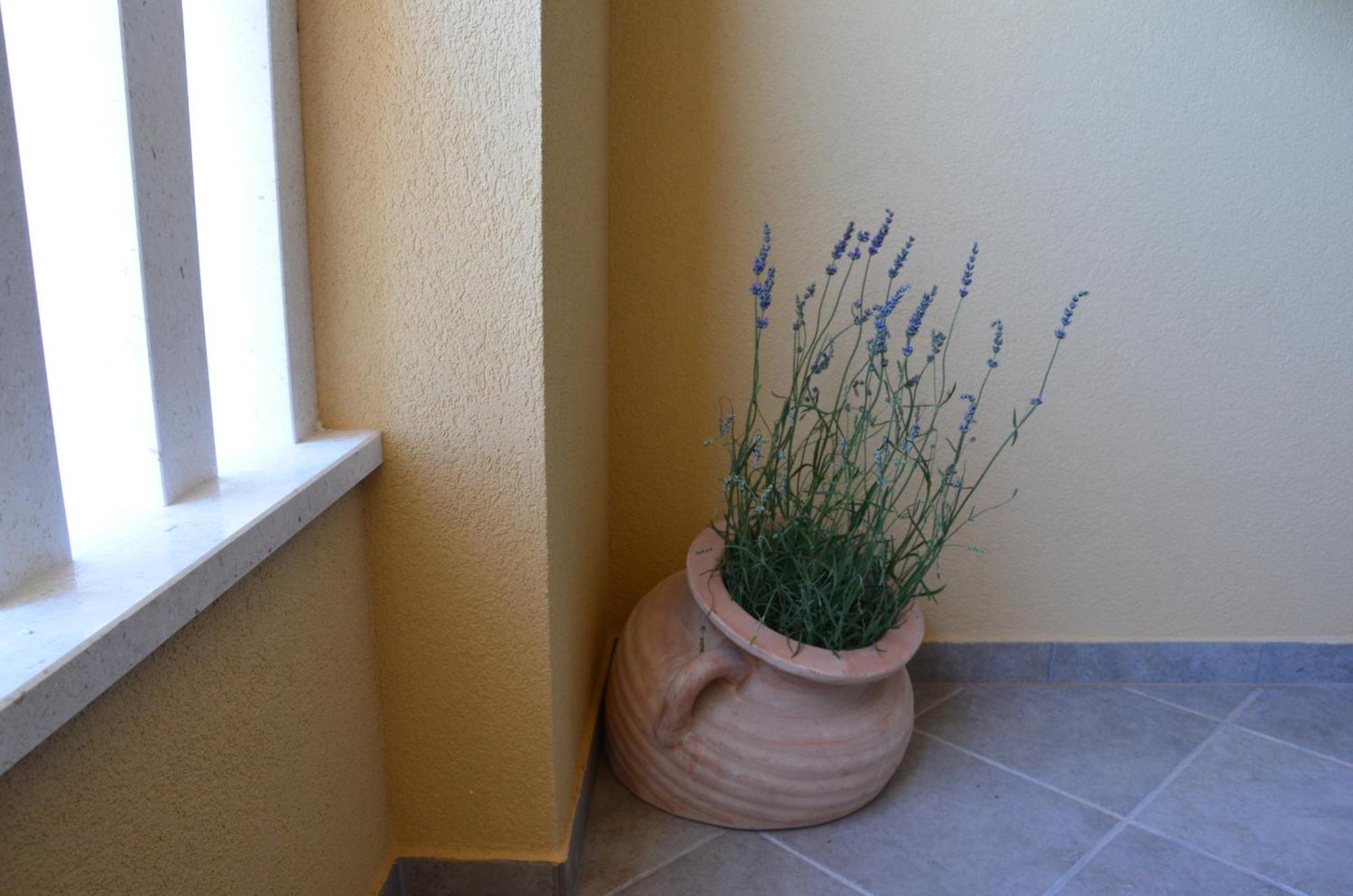 Fortudor Apartment *