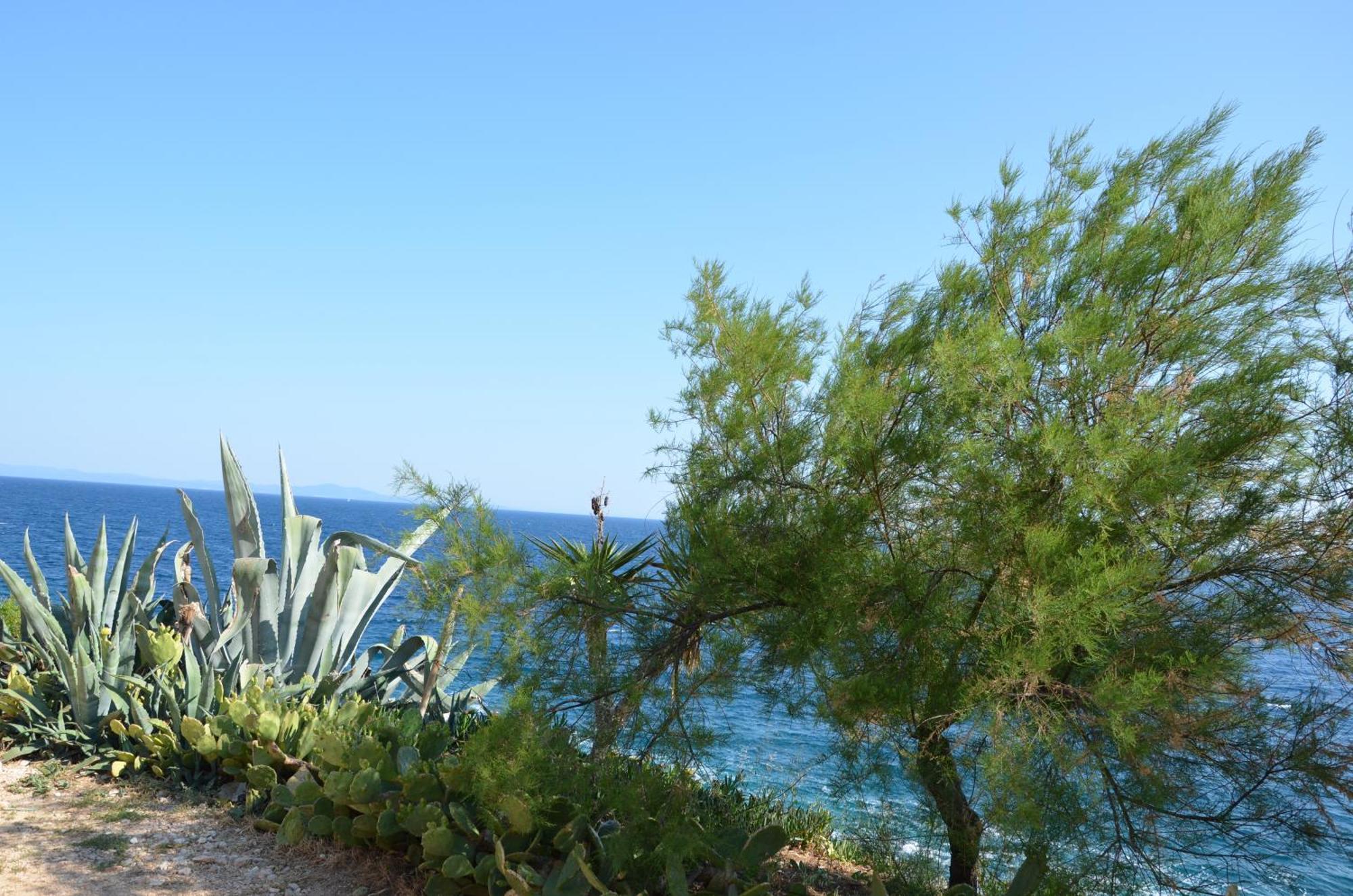 Fortudor Apartment Milna (Hvar)