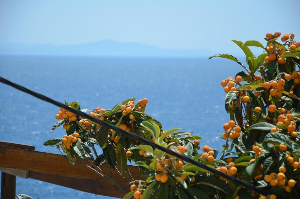 Fortudor Appartement Milna (Hvar)